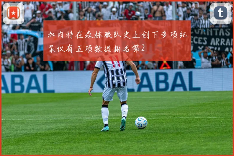 加内特在森林狼队史上创下多项纪录仅有五项数据排名第2