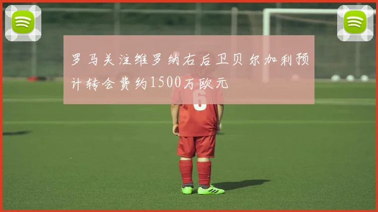 罗马关注维罗纳右后卫贝尔加利预计转会费约1500万欧元