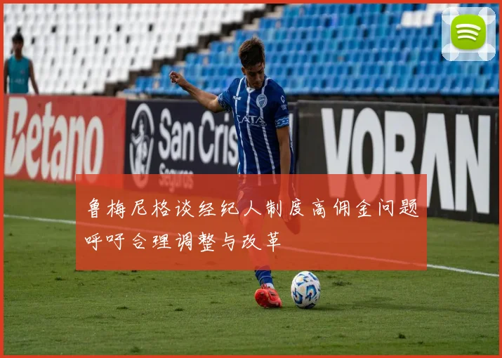 鲁梅尼格谈经纪人制度高佣金问题呼吁合理调整与改革