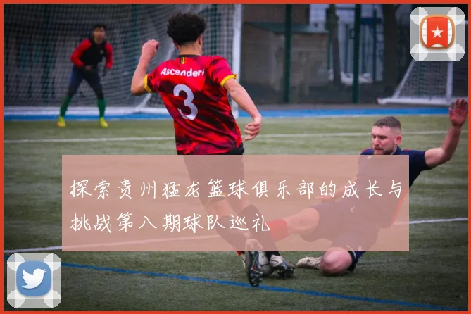 探索贵州猛龙篮球俱乐部的成长与挑战第八期球队巡礼