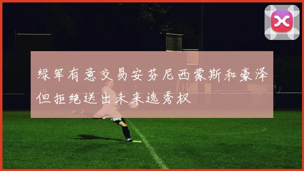 绿军有意交易安芬尼西蒙斯和豪泽但拒绝送出未来选秀权