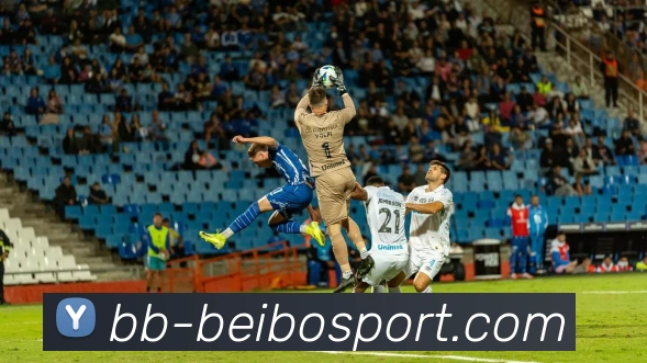 多媒体互动体验