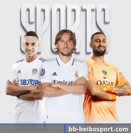 贝博足球的方向 | BEIBOSPORTS